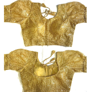 Latest Heavy Net Blouse With Cipli Work