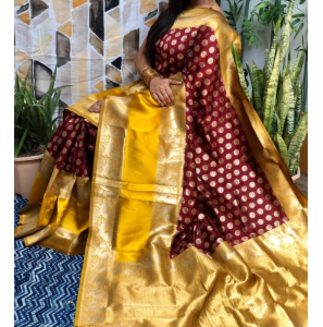 Stunning Kanchipuram Silk Saree 