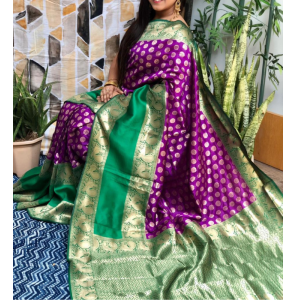 Stunning Kanchipuram Silk Saree 