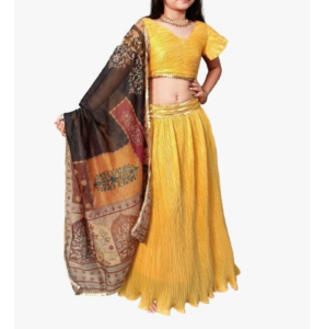 Latest Imported Craze Lehenga Choli