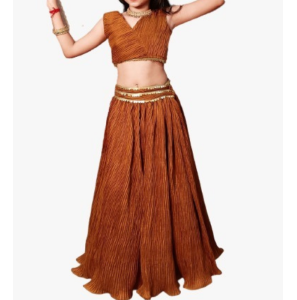 Latest Imported Craze Lehenga Choli