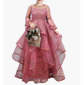Beautiful Georgette Gown With Sequence Work